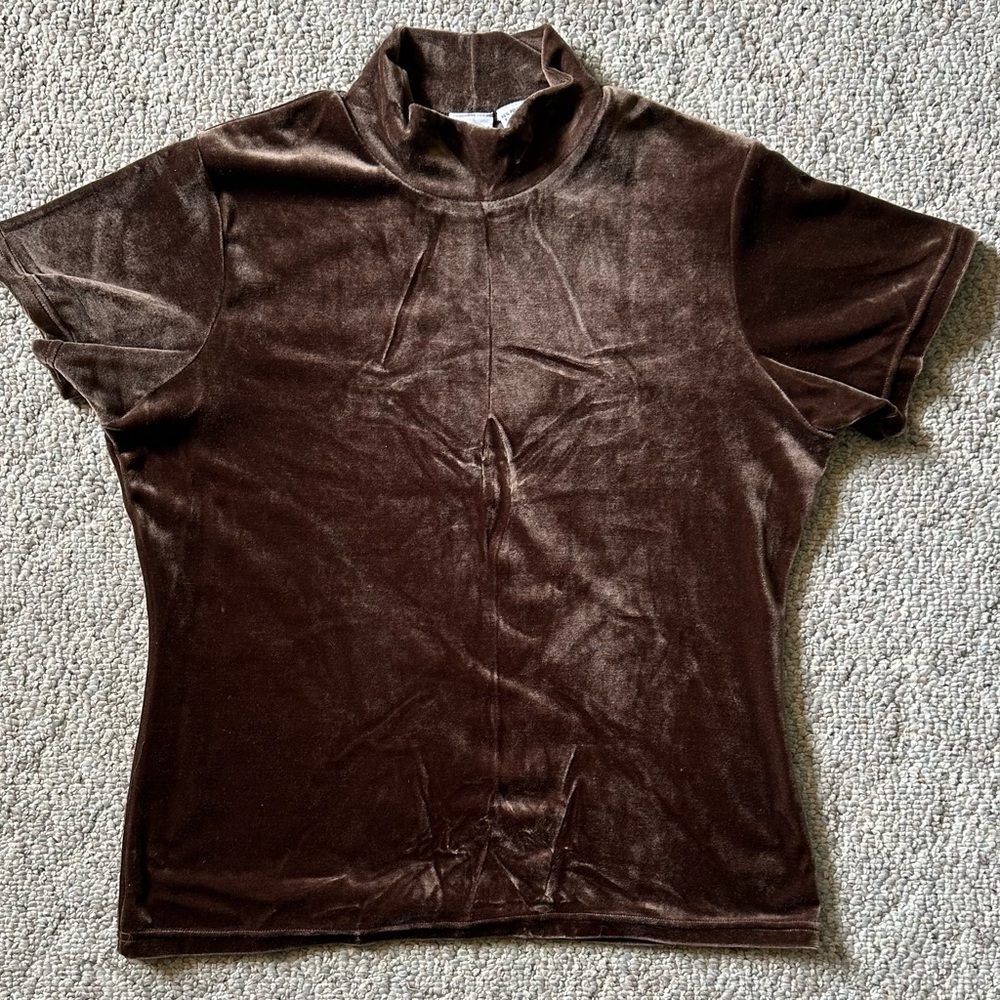 Sostanza Women’s Brown Velour Pullover Short-Sleeve Mock Turtleneck Top, Size XL